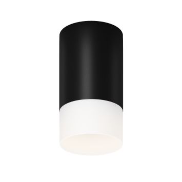 Потолочный светильник Outdoor O499CL-L10B3K MAYTONI Ember Черный
