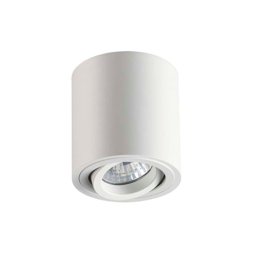 Потолочный накладной светильник ODEON LIGHT 3567/1C TUBORINO белый