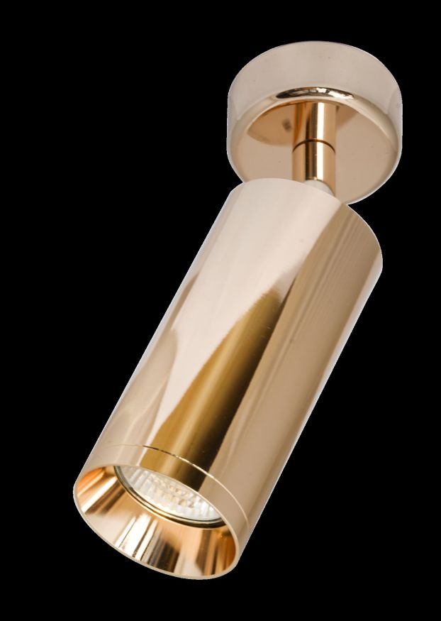 Потолочный светильник Technical C017CW-01RG MAYTONI Focus Розовое Золото