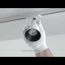 Трековый светильник Technical TR022-1-GU10-MG MAYTONI Virar Матовое Золото