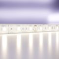 Светодиодная лента Led Strip 10132 MAYTONI Светодиодная лента 12В Белый