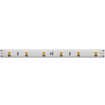 Светодиодная лента Led Strip 201009 MAYTONI Базовая светодиодная лента Белый