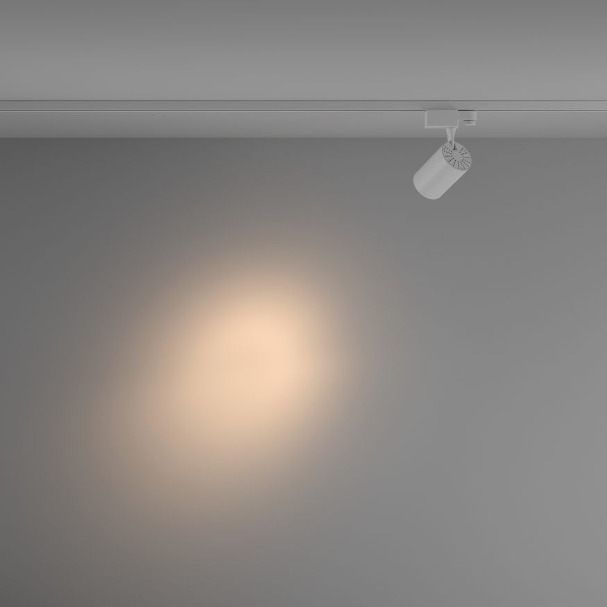 Трековый светильник Technical TR029-3-10W3K-S-W MAYTONI Vuoro Белый