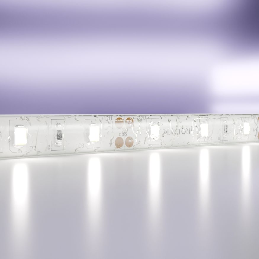 Светодиодная лента Led Strip 20006 MAYTONI Светодиодная лента 12В Белый