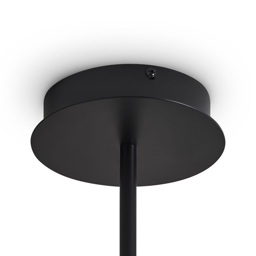 Потолочный светильник Freya FR5541CL-L30B Freya Ice Черный