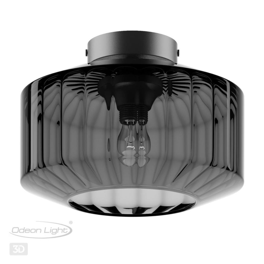 Светильник потолочный ODEON LIGHT 4746/1C BINGA дымчатый/черный