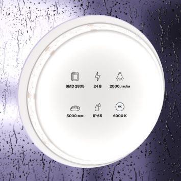 Светодиодная лента Led Strip 10159 MAYTONI Светодиодная лента 24В Белый