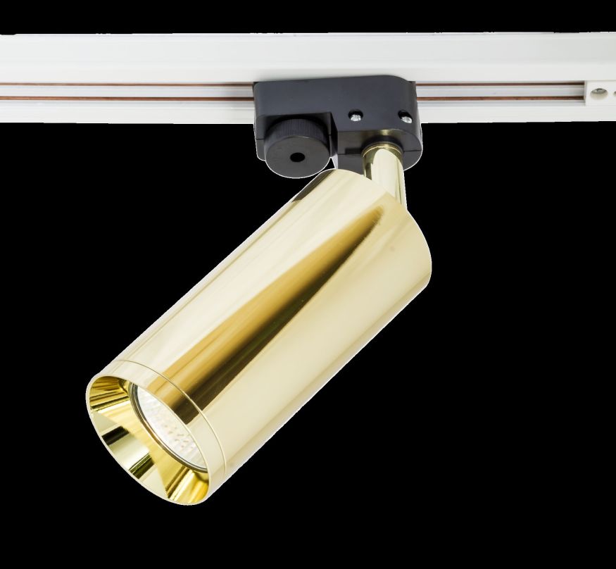 Трековый светильник Technical TR004-1-GU10-G MAYTONI Focus Черный