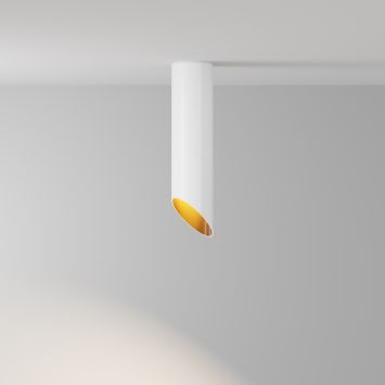 Потолочный светильник Technical C044CL-01-25GU10-W MAYTONI Lipari Белый с Золотом