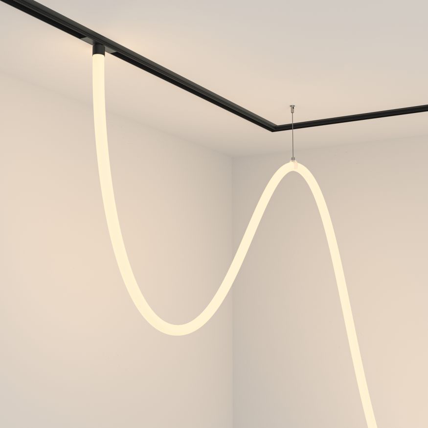 Трековый подвесной светильник Technical TR101-2-100W3K-B MAYTONI Tau Черный