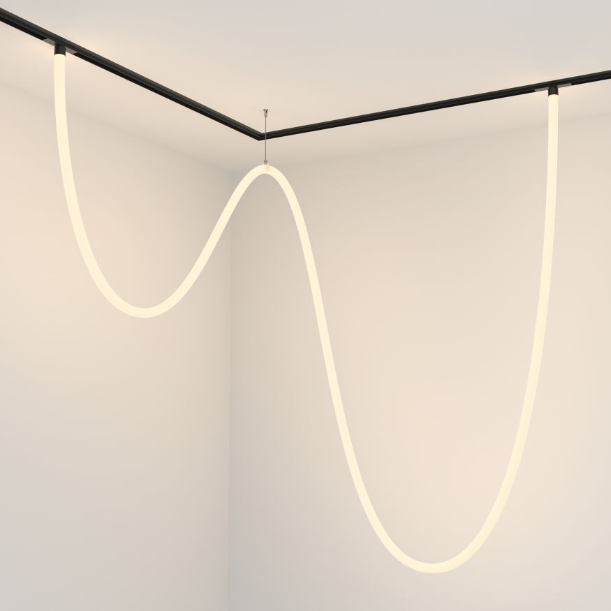 Трековый подвесной светильник Technical TR101-2-100W3K-B MAYTONI Tau Черный