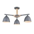 Люстра потолочная LUMION 8096/3C COLANGE серый