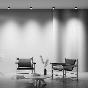 Потолочный светильник Technical C095CL-GX53-B MAYTONI Rendo Черный