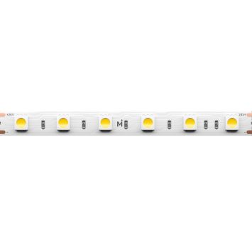 Светодиодная лента Led Strip 201191 MAYTONI Базовая светодиодная лента Белый
