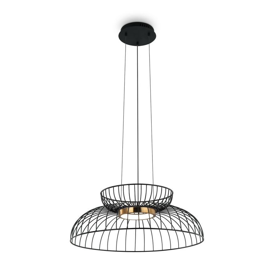 Подвесной светильник Freya FR5398PL-L6B Freya Citrus Черный