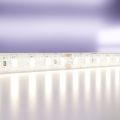 Светодиодная лента Led Strip 10146 MAYTONI Светодиодная лента 24В Белый