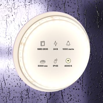 Светодиодная лента Led Strip 10146 MAYTONI Светодиодная лента 24В Белый