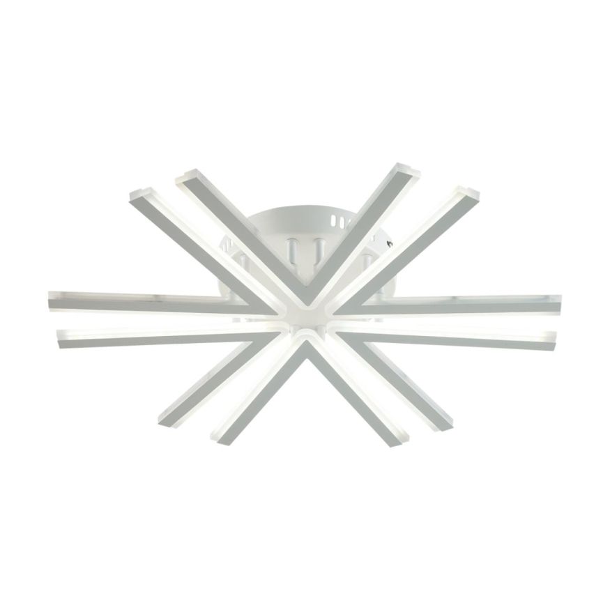 Потолочный светильник LUMION 8029/60CL ALBERTA белый