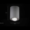 Потолочный светильник Technical C017CL-02B MAYTONI Atom Черный