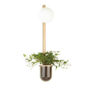 Настенный светильник ODEON LIGHT 4682/1WB FLOWER золото/белый