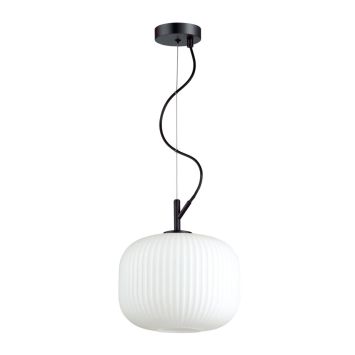 Подвес ODEON LIGHT 4753/1 ROOFI белый/черный