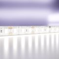 Светодиодная лента Led Strip 10119 MAYTONI Светодиодная лента 12В Белый