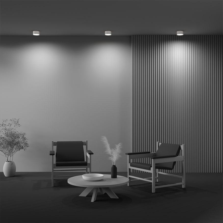 Потолочный светильник Technical C032CL-12W2.7K-RD-W MAYTONI Zon Белый