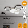 Люстра потолочная LUMION 5253/64CL NORBERT белый, черный
