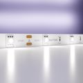 Светодиодная лента Led Strip 10162 MAYTONI Светодиодная лента 24В Белый