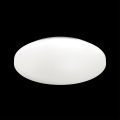 Настенно-потолочный светильник SONEX 3017/CL SIMPLE белый